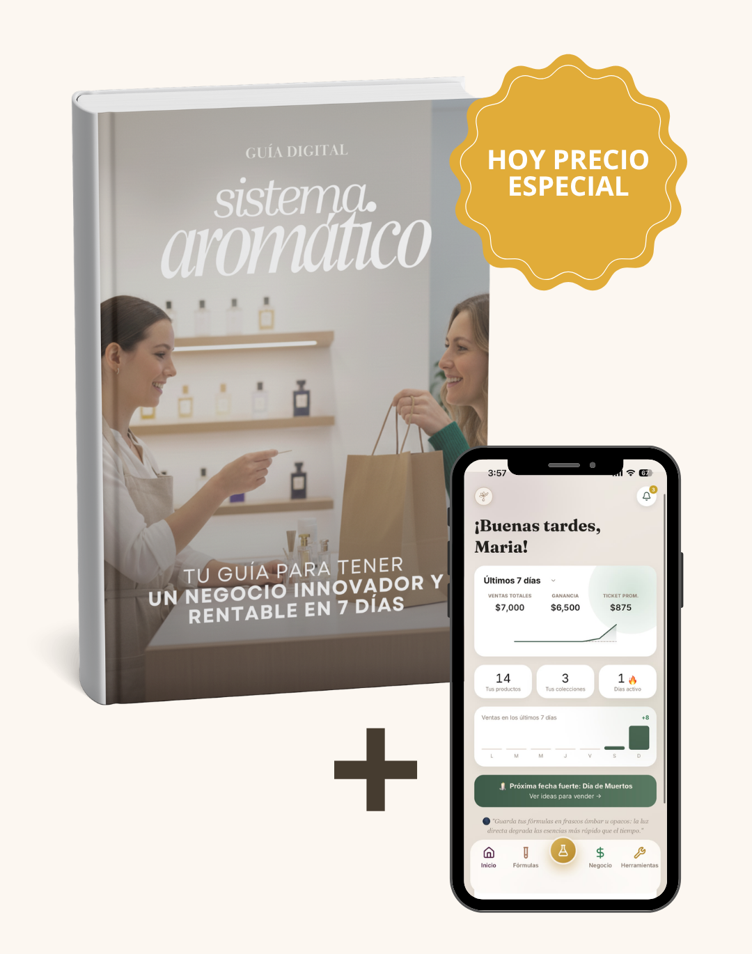 Guía Digital: Sistema Aromático - Kit Completo (Buen Fin & Black Friday)🏆